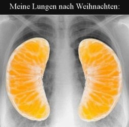 13Unbenannt.JPG