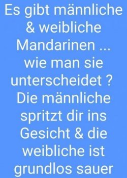14Unbenannt.JPG