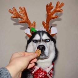 spassprediger_com_picdump_073_014.jpg