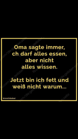 IMG_7902.PNG