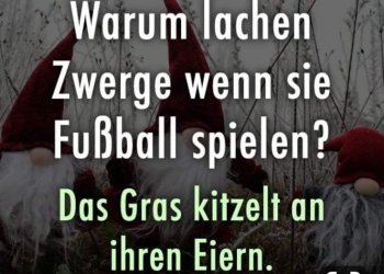 50a2eb714978d66ebd52e71fbfb7c6f8.jpg