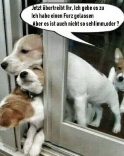 tUnbenannt.JPG
