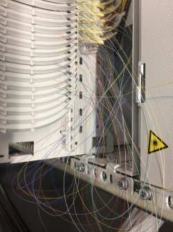 A076F0B2-1520-4240-B055-486BA8E64CF3.jpeg