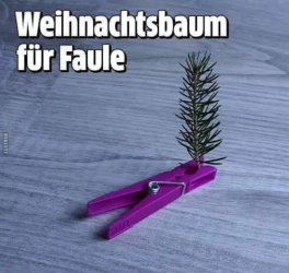 20181215_113653.jpg