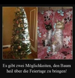 6215ED6D-D63B-40DF-9FE6-3E218B0C18DA.jpeg