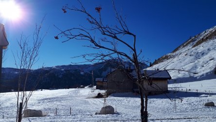 20181218_125126.JPG