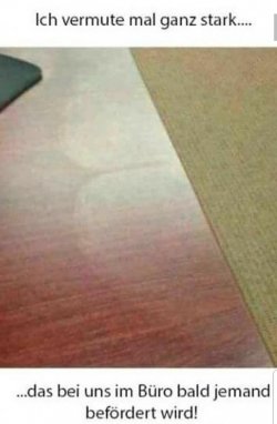 20181222_183116.jpg