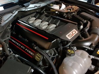 20181210_164504 (2).jpg 20181210_164504 (2).jpg