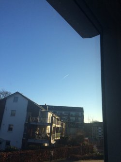 55FA5401-74AF-4AAF-ABAA-9A3953EACED5.jpeg