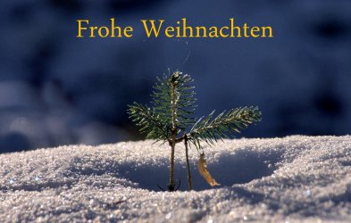 frohe-weihnachten-edc9297d-3648-4e96-b82e-952b32f761c0.jpg