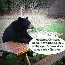 1C30B1B7-ECB4-4D8F-AF65-433AE14559CC.jpeg
