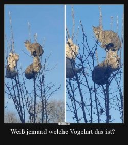 FB_IMG_1546036763078.jpg