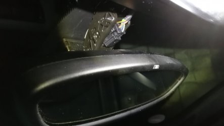 IMG_20181228_072128.jpg