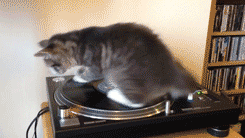 funpot0000337120.gif