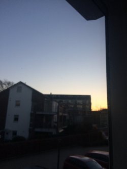 1A19324F-D5C9-4AEA-BE30-DA7882B6040D.jpeg
