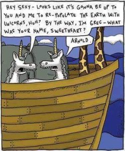 FB_IMG_1546285777655.jpg