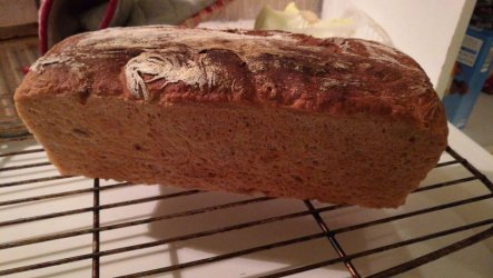 Brot.jpg