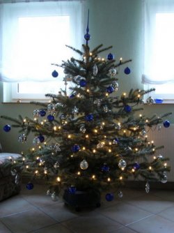 Baum 002.jpg