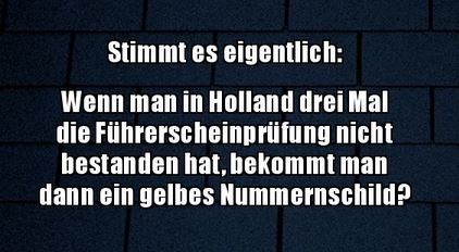 12Unbenannt.JPG