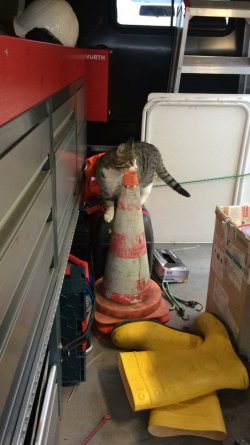 24EE69DF-15C3-4574-8E56-EA13E9DD49A7.jpeg