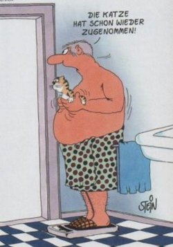 katze-waage.jpg