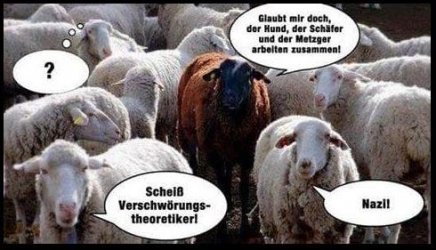 3Unbenannt.JPG