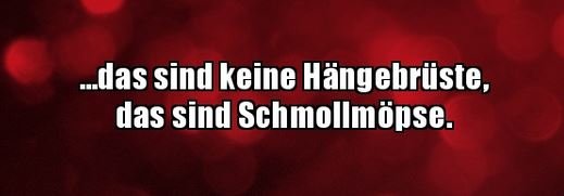 7Unbenannt.JPG