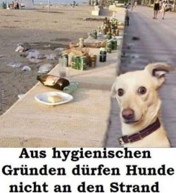 5Unbenannt.JPG