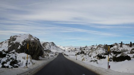 Trientna  (18).JPG