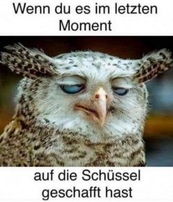 2Unbenannt.JPG