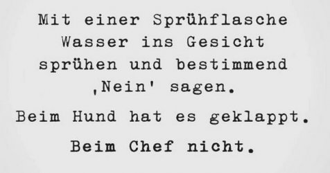 7Unbenannt.JPG