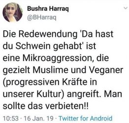 4Unbenannt.JPG
