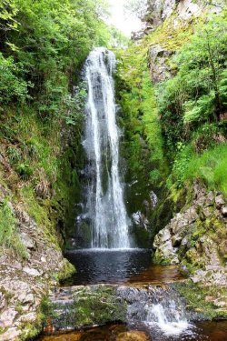 IMG_2061b (Copy).jpg