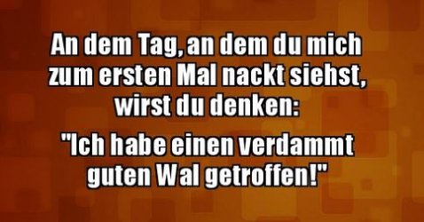 7Unbenannt.JPG