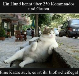 tUnbenannt.JPG