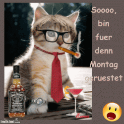 funpot0000348079_x400_y400.gif