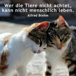 So ist es....png