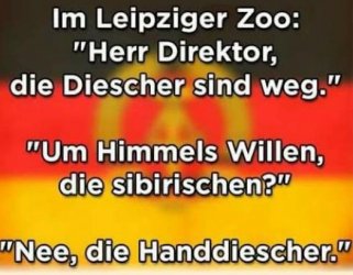 11Unbenannt.JPG