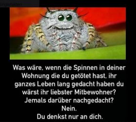 4551A245-DB73-40EB-A438-DED3C6E584C7.jpeg