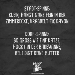 spruch-stadt-dorf-spinne-870x870.jpg