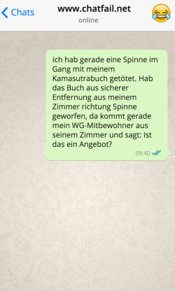 Ich-hab-gerade-eine-Spinne-im-Gang-mit-meinem-Kamasutrabuch.png