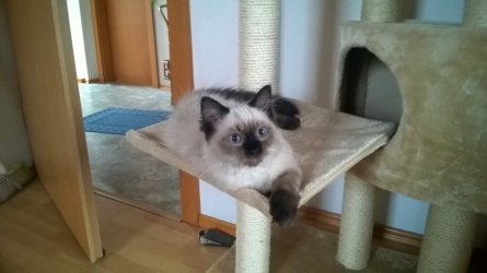 WP_20190120_10_13_13_Pro.jpg
