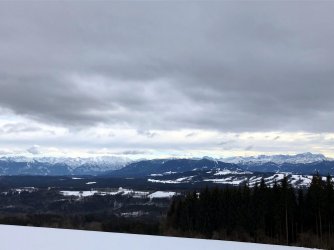 IMG_3480.jpg