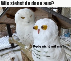 tUnbenannt.JPG
