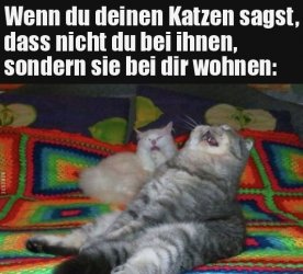 ttUnbenannt.JPG
