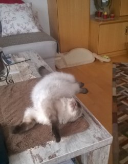 WP_20190126_14_34_11_Pro.jpg