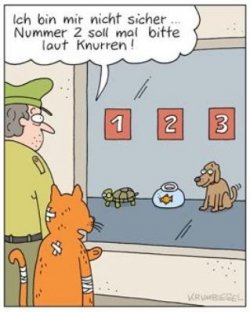 1Unbenannt.JPG