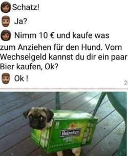 4Unbenannt.JPG