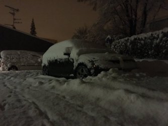 3531667A-0310-4D07-A2D6-2CA8B1AE34D5.jpeg