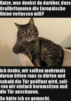 5Unbenannt.JPG